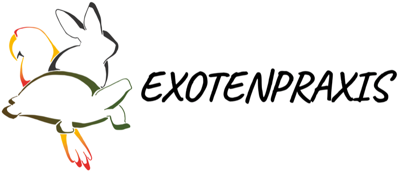 Exotenpraxis