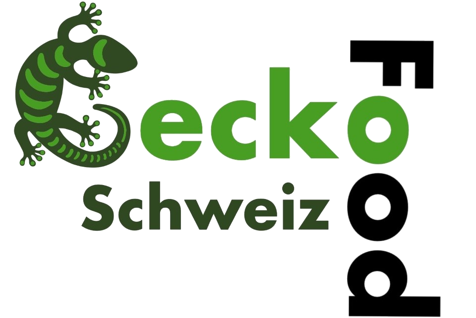 Gecko Food Schweiz