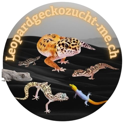 Leopardgeckozucht-me.ch