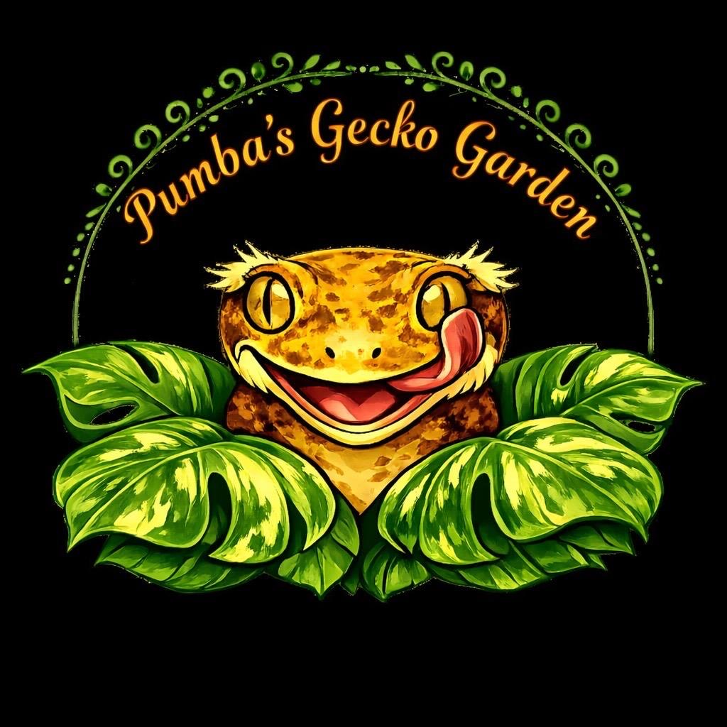 Pumba’s Gecko Garden