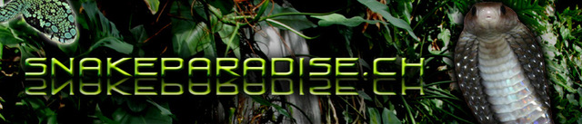 Snakeparadise.ch